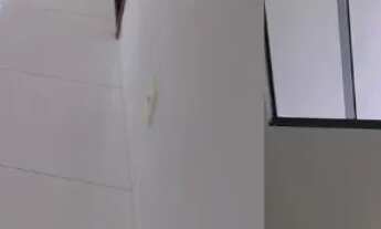 Imagem 3: IMÓVEL A VENDA - 1204 SUL