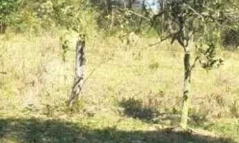 Imagem 5: Sítio na melhor região de Itatiaiuçu!