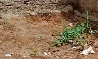 Imagem 7: CASA NOVA SEM ENTRADA PEDI