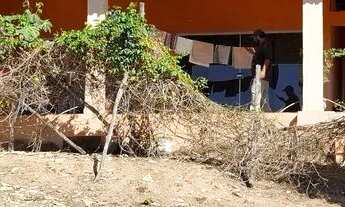 Imagem 7: Chácara Chácara com venda por R$700.000