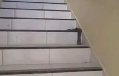 Imagem 2: Apartamento pra alugar no ancuri