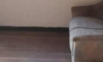 Imagem 2: Aluga- se Casa com 1 dormitório