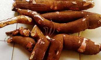 Imagem 7: Excelente chácara em samambaia na estrada da produção em montes claros mg