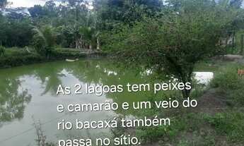 Imagem 3: Excelente Sítio com mais de 450 pés de laranja à uma Hora do Rio de Janeiro