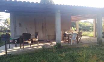 Imagem 4: Vendo Sítio em Alecrim ( Distrito de cachoeira Ba