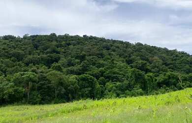 Imagem 4: Segurança e valorização começam no pré-lançamento