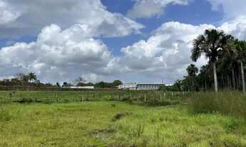 Imagem: TERRENO A VENDA EM PEDRINHAS - São Luís