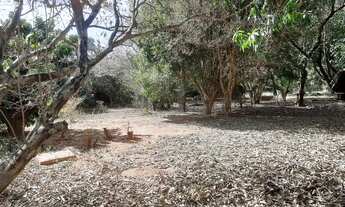 Imagem 3: Terreno á Venda 1.260m2 Village Campinas-Sp