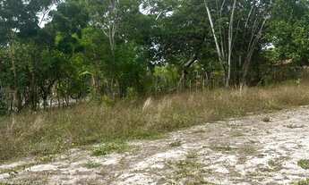 Imagem 5: Vende-se terreno grande (AQUIRAZ