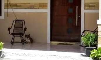 Imagem 6: Casa com piscina em Maracanaú