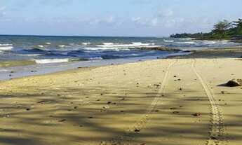 Imagem: Alugo casa em pedras altas- Cabuçu
