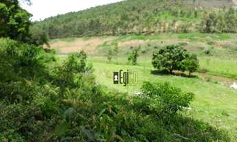 Imagem 4: Fazenda com 5 dormitórios à venda, 1100000 m² em - Argirita/MG