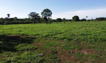 Imagem 6: Vendo chácara de 12 alq em Palmas TO