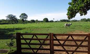 Imagem 7: Vendo chácara de 12 alq em Palmas TO