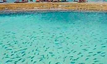 Imagem 7: Cupe Garden, Última unidade, entrega em 2023