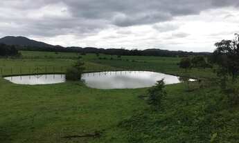Imagem 7: Fazenda à venda em Joinville/SC