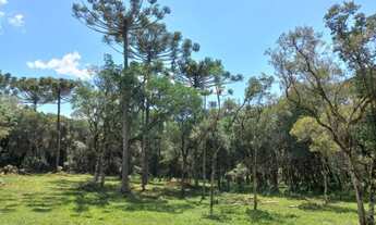 Imagem 5: Terreno com 146.000m² Próximo a Cidade