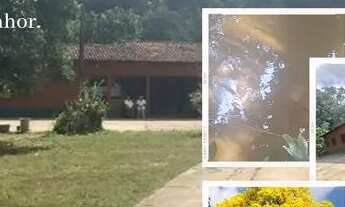 Imagem: Vendo Execelente oportunidade na ribeira