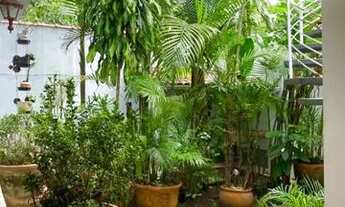 Imagem 4: São Paulo - Casa Padrão - Jardins