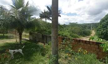 Imagem 5: VENDA Chácara Br 174 Km 5