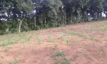 Imagem 3: Terreno rural 500mts