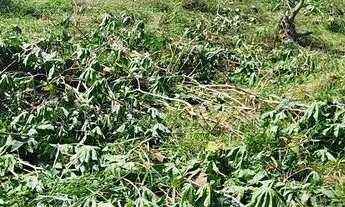 Imagem 4: Vendo terreno em Praia de Carapebus!