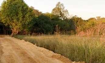 Imagem 2: Chácara Beira Lago Agrotins