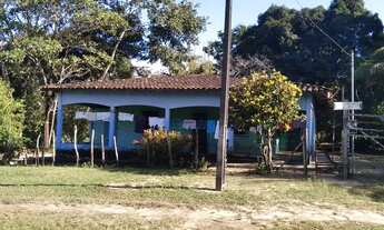 Imagem: Vendo sítio em Martins Pinheiro R$100,000