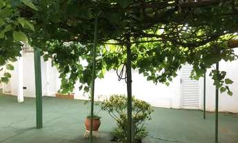 Imagem 3: Excelente imóvel para Comércio