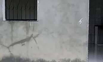 Imagem 7: Aluga se no Lírio do Vale 1