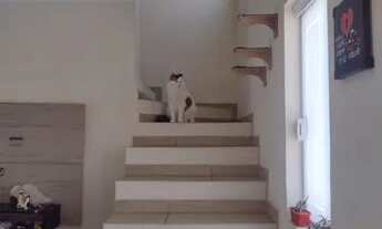 Imagem 6: Quarto individual semi mobiliado em condomínio charmoso de Votorantim