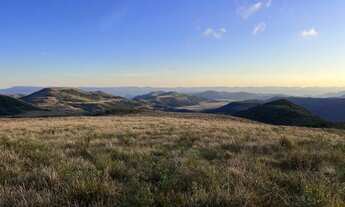 Imagem 7: Terrenos de 2 hectares no Campo dos Padres - Urubici