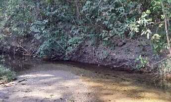 Imagem 4: Fazenda Goiás área pra Reserva
