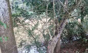 Imagem 5: Vendo terreno em barreiras com 4000m