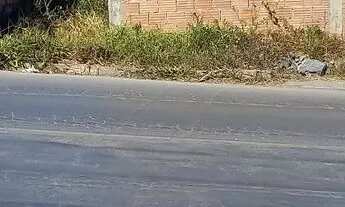 Imagem: Vendo lote no bairro floresta no valor de