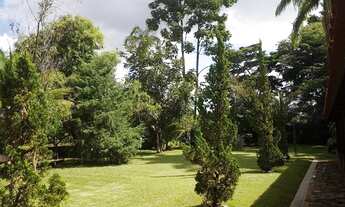 Imagem 5: Chácara para venda possui 15000 metros quadrados com 3 quartos