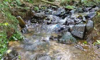 Imagem 2: Chácara em São Francisco de Paula - São Francisco de Paula