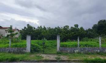 Imagem 4: Terreno Comercial em frente a Maple Bear