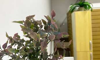 Imagem 2: Sobrado com 1 dormitório para alugar, 30 m² - Tatuapé - São Paulo/SP