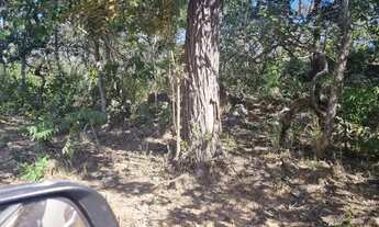 Imagem 3: Fazenda Goiás São João da Aliança Niquelândia