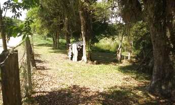 Imagem 4: Chacara 12.305,44 M2