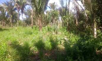 Imagem 2: Terreno 40 x 20 na estrada do quebra pote perto da casa da família