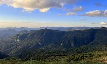 Imagem 5: Terrenos de 2 hectares no Campo dos Padres - Urubici