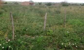 Imagem 4: Terreno/chácara