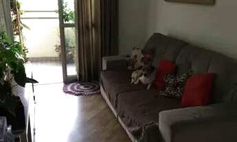 Imagem: São Paulo - Apartamento Padrão - Santa