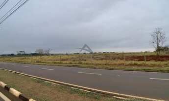 Imagem 5: área - Betel - Paulínia