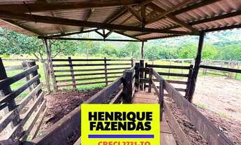 Imagem 5: Fazendas 114,7 alqueires a venda dupla aptidão região Serra da Lopa TO