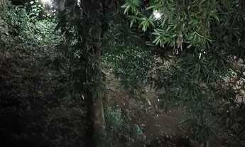 Imagem 4: APARTAMENTO 2 QUARTOS