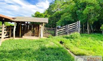 Imagem 6: Chácara para Venda em Abadiânia, Zona Rural, 3 dormitórios, 1 banheiro, 1 vaga