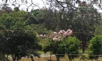 Imagem 7: CASAS COM PISCINAS Lagoa Santa, MG: Natal, Réveillon, Day use, Diárias, Mensal, etc